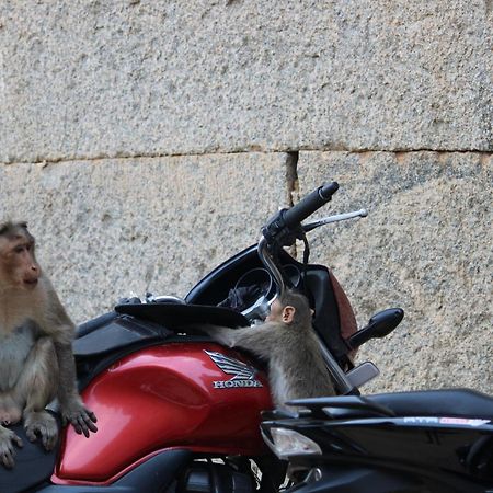 Sahasra Home Stay Hampi Hospet Quarto foto